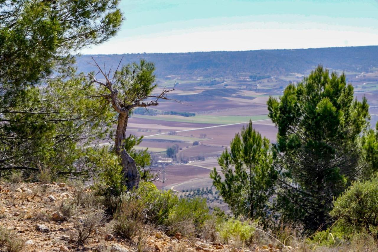 De Felipe Casa Rural Horche Dış mekan fotoğraf