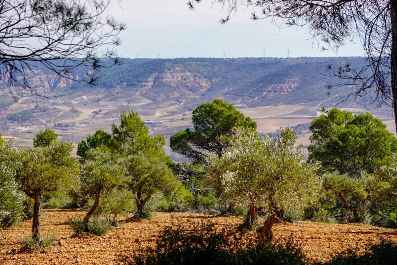 De Felipe Casa Rural Horche Dış mekan fotoğraf
